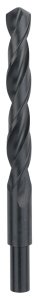 Bosch HSS-R 15*169 mm