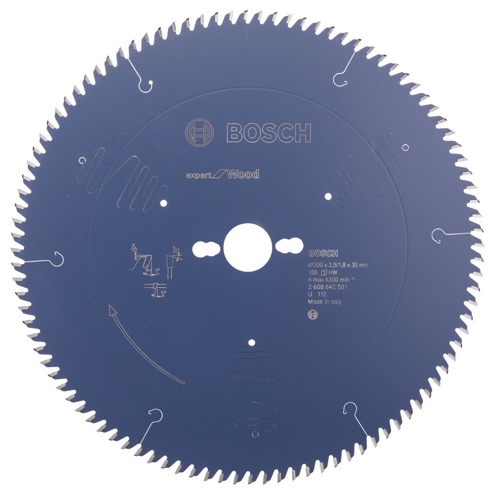 Bosch Expert for Wood 300*30 mm 100 Diş